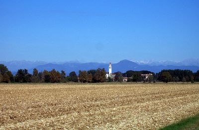 coltivazioni biologiche